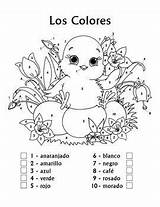 Color Coloring Spanish Number Easter German Worksheet Colors Pages Chick Printable Numbers Grade Learning Visit Colored Names Follow Eggs Colorful sketch template
