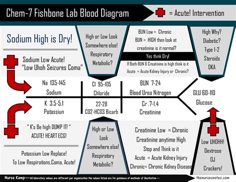 design   bmp chem fishbone diagram explaini nursing