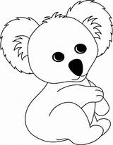 Koala Joeys sketch template