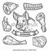 Cuts Meat Pork Coloring Beef Pig Template Vector Pages Chop Sketch Parts Ham sketch template