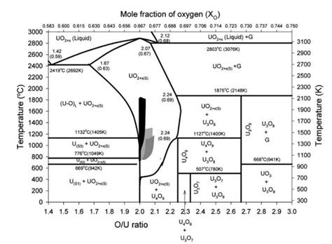phase diagram   scientific diagram