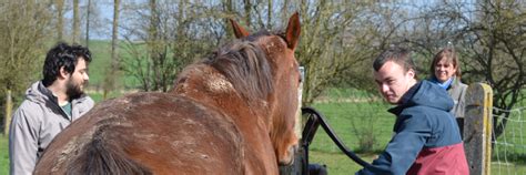 zorgboerderijen