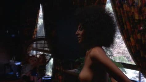 Nackte Pam Grier In Hit Man