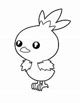Torchic Pages Coloring Template sketch template
