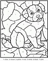 Number Color Coloring Pages Printable Kids Printables Library Clipart sketch template