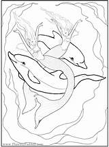 Mermaid Pages Coloring Dolphin Fairy Dolphins Fantasy Adults Phee Mcfaddell Mermaids Colouring Enchanted Color Designs Print Printable Adult Amp Young sketch template