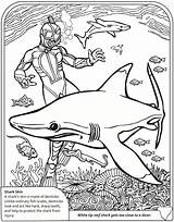 Coloring Shark Dover Sharks Hammerhead Mermaid Grundschule Doverpublications Coloringhome Tiger Requins Ausmalen Wenn Mal Megalodon Malvorlagen Dibujos Octonauts sketch template