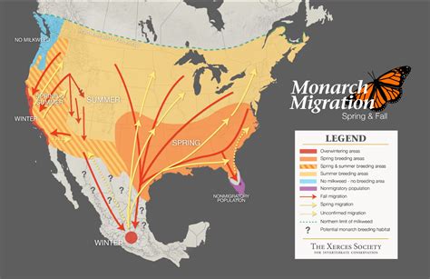 animal migration