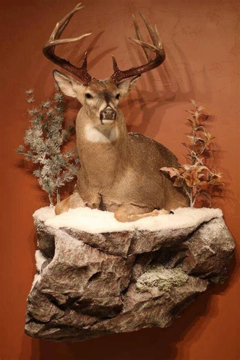 creative ways  mount  deer deer head decor deer hunting