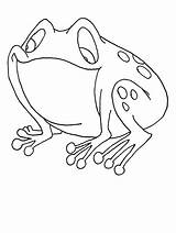 Disegni Rane Colorat Animale Colorare Planse Bambini Rana Sapos Ranocchi Colouring Colorir Grenouilles Broscuta Riscos Frogs Gecko Animali Copilul Copii sketch template