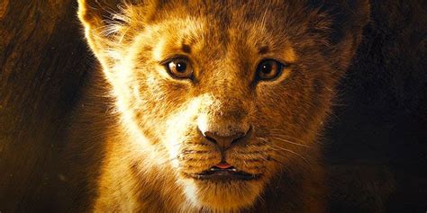the lion king cast trailer release date story and