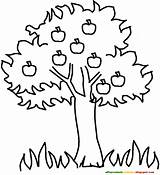 Coloring Printable Tree Getdrawings sketch template