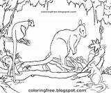 Coloring Pages Australian Animals Kangaroo Tree Printable Outback Colouring Kids Template Getcolorings Sketch sketch template