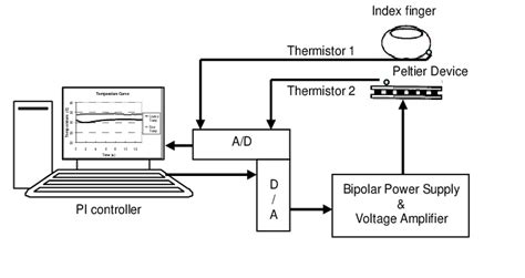 schematic representation   thermal display  scientific diagram
