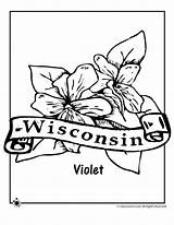 Coloring Flower Wisconsin State Pages Wood Flag Sheets Printable Jr Visit sketch template