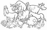 Farm Coloring Animals Premium sketch template