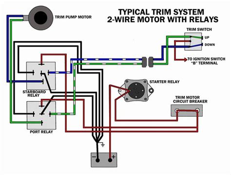 trim motor wiring  wire tilt trim diagram  comprehensive guide motor  bike price list