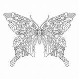 Mandala Coloring Butterfly Adult Premium Ornamental Vector sketch template