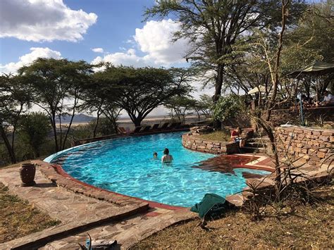 serengeti serena safari lodge  prices reviews serengeti national park tanzania