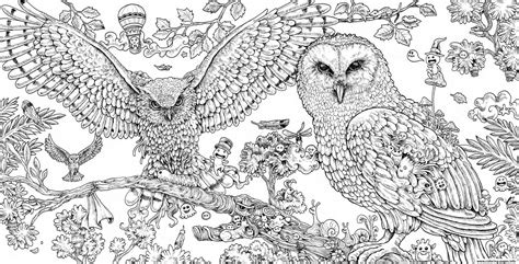 pin  animal coloring pages