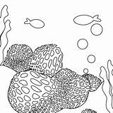 Coral Coloring Pages Simple Reef Getcolorings Getdrawings Color sketch template