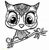 Owl Coloring Pages Owls Adult Cute Kids Printable Print Adults Skull Cartoon Colouring Mandala Sugar Abstract Girl Babies Difficult Clipart sketch template