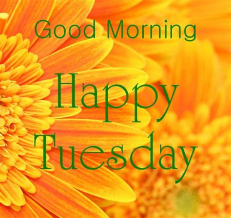 good morning wishes  tuesday pictures images