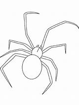 Spider Coloring Jumping Widow Pages Drawing Sheet Lightupyourbrain Color Printable Animals Kids Dessin Insectes Getdrawings Dessins Liège Depuis Enregistrée Google sketch template