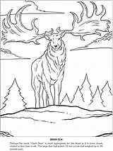 Publications Dover Coloring Ice Age Prehistoric Beasts Doverpublications Choose Board Pages sketch template