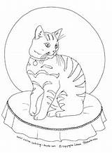 Cat Coloring Tabby Pages Sitting Sheet Getcolorings Cats Getdrawings sketch template