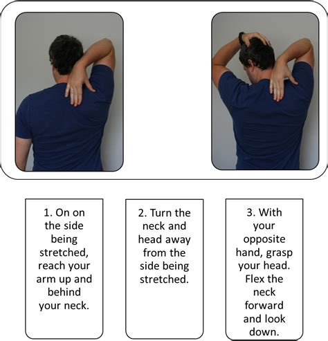 pin  stretching guides