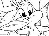 Looney Tunes Baby Bugs Bunny Bros Warner Coloring Wecoloringpage sketch template