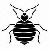Bug Acari Bedbug Insect Bed Icon Editor Open sketch template