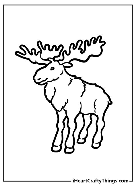 top  forest animals coloring pages lestwinsonlinecom