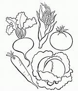 Coloring Vegetable Pages Vegetables Color Kids Nutrition Sheets Print Food Printable Fruits Fruit Book Worksheets Letter Popular Library Clipart Getcolorings sketch template