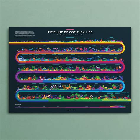 timeline  evolution infographic poster  kurzgesagt shop