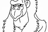Gorilla Silverback Drawing Clipartmag Simple Coloring sketch template