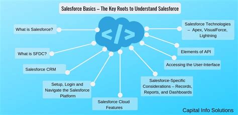 learn salesforce basics key roots  understand salesforce