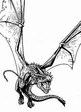 Potter Harry Coloring Dragon Pages Di Da Drawing Drago Tatuaggi Bing Disegni Scegli Bacheca Una Wood sketch template