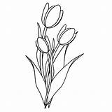 Lente Tulpen Tulpe Ausmalbild Bloemen Kleurplaten sketch template