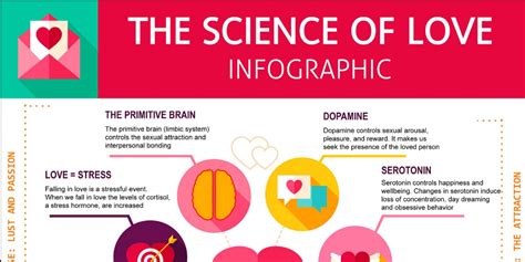the science of love infographic infogram