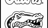 Florida Gators Coloring Pages Gator Drawing Logo Clipartmag Template sketch template