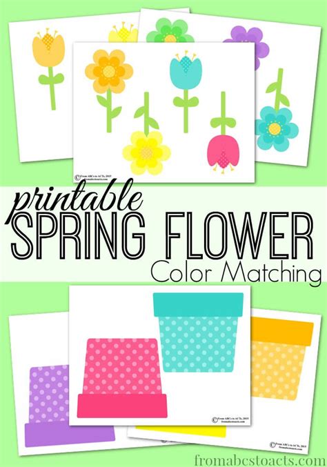 printable spring flower color matching  abcs  acts