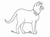 Kitten Coloring Ribbon Animals Pages Printable Chats Drawing Kittens sketch template