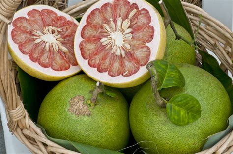 try out this easy pomelo salad recipe with this wonder fruit