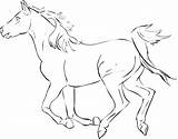 Coloring Pages Thoroughbred Getcolorings Horse Printable sketch template