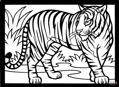 tiger spanar malarbok gratis malarbilder att skriva ut