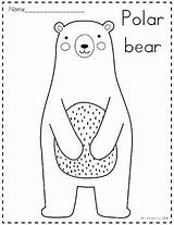 Coloring Arctic Animals Pages Kids Kinder Tpt sketch template