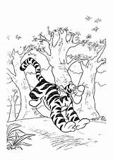 Tigger Pooh Winnie Tygrysek Kolorowanki Coloring4free Charmed sketch template
