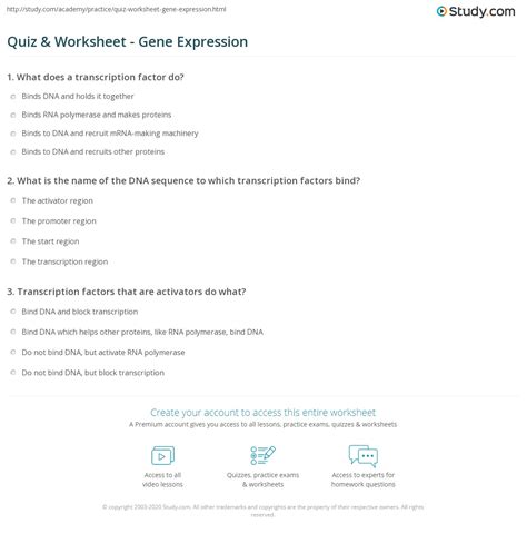 quiz worksheet gene expression studycom